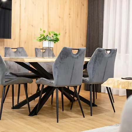 Visitzakopane - Radowid Loft Spa Apartment Esterno foto