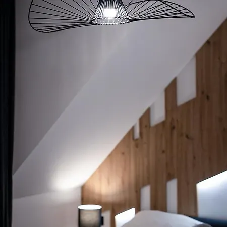 Visitzakopane - Radowid Loft Spa Apartment Esterno foto