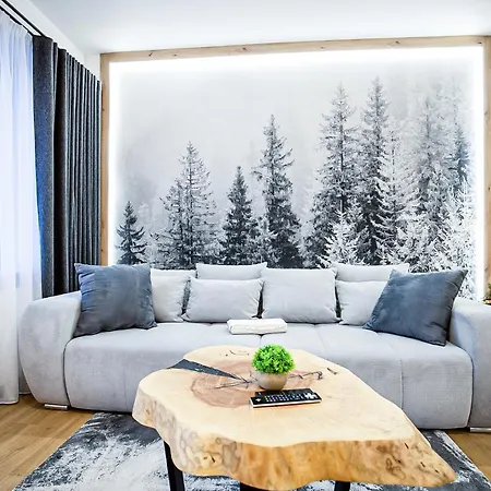 Visitzakopane - Radowid Loft Spa Apartment Esterno foto