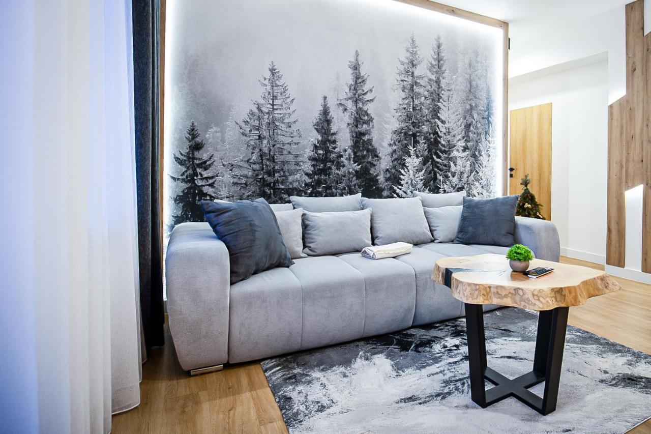 Apartment Visitzakopane - Radowid Loft